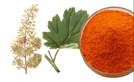 Macleaya Cordata Extract in Modern Herbal Formulas